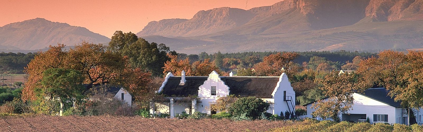 Paarl Winelands