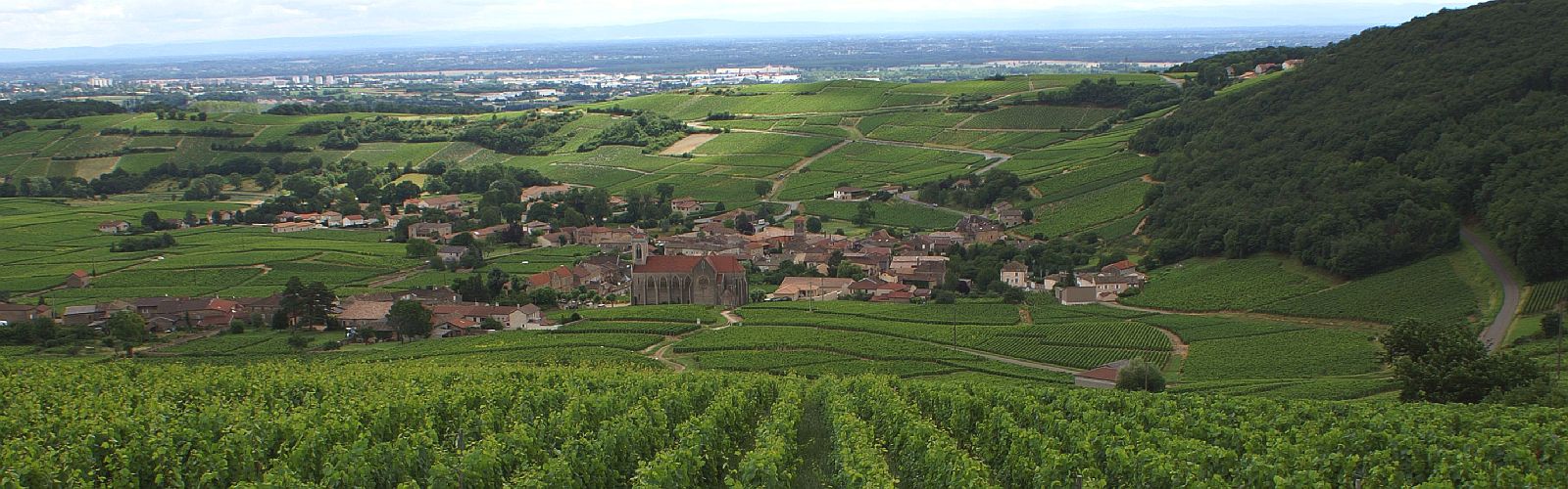 Bourgogne groepsreis