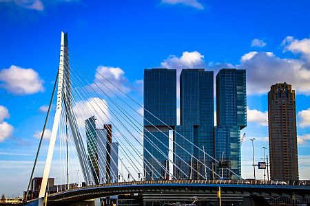 Erasmusbrug Rotterdam