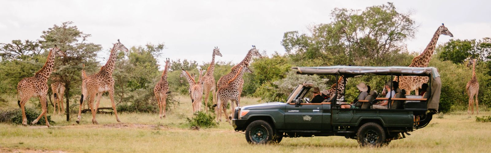 Safari\'s in Tanzania