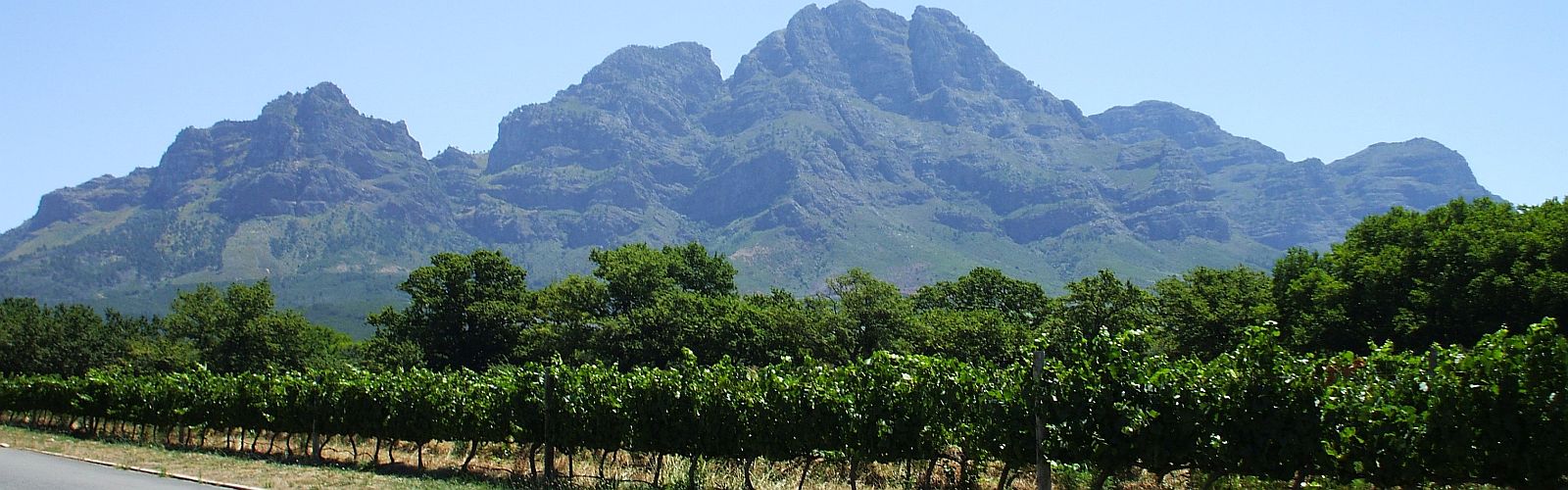 Milse Mossop Stellenbosch